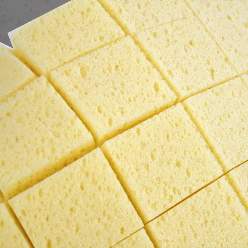 Beava Washboy Sponge & Handle