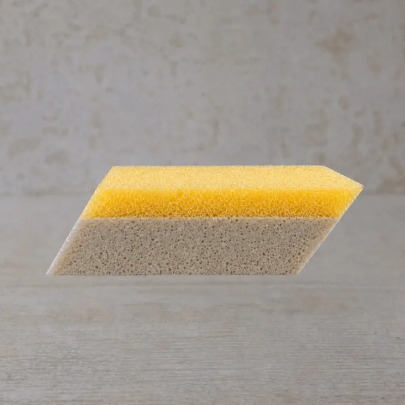 Beava 2-in-1 Hydro Sponge