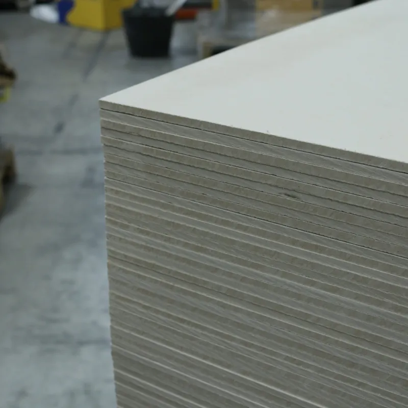 Beava Backer Board 1200x600x6mm